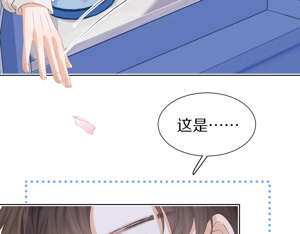 第24章 第一次和兔子……62