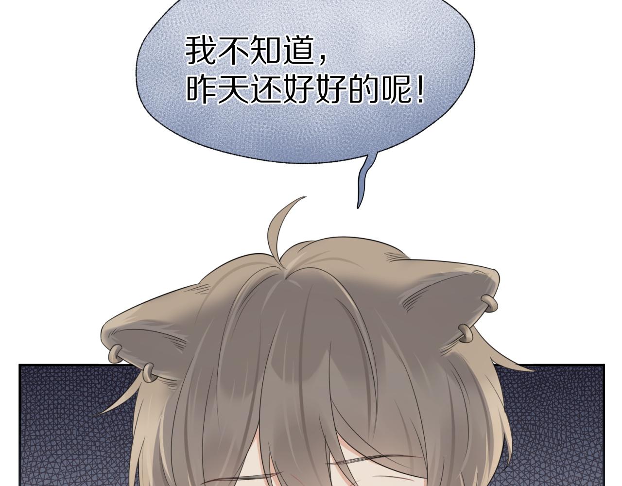 第43话 陆微不见了？67
