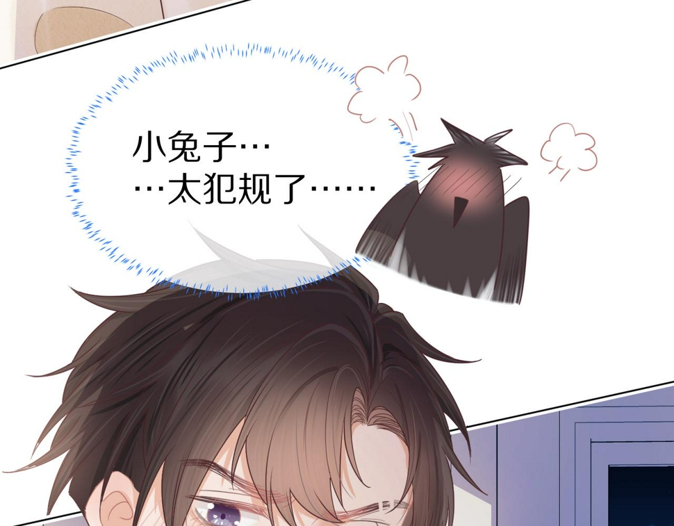 第24章 第一次和兔子……13