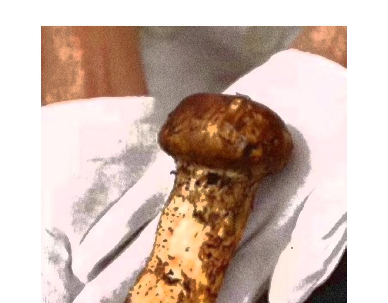 第59章 偶遇84