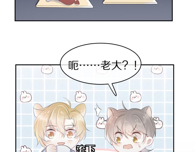 第4话 又被狮子救了？！20