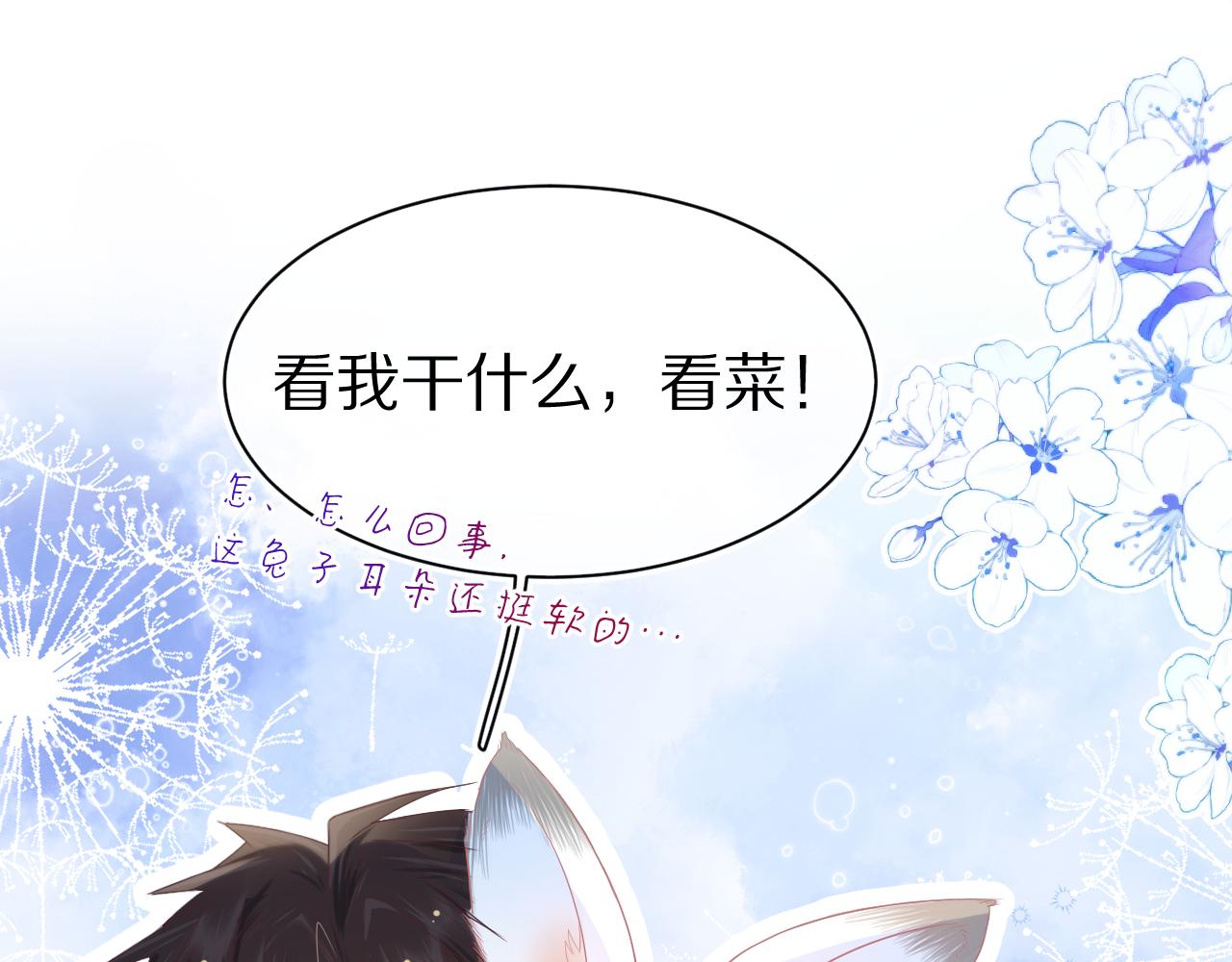 第11章 舌尖上的兔子27