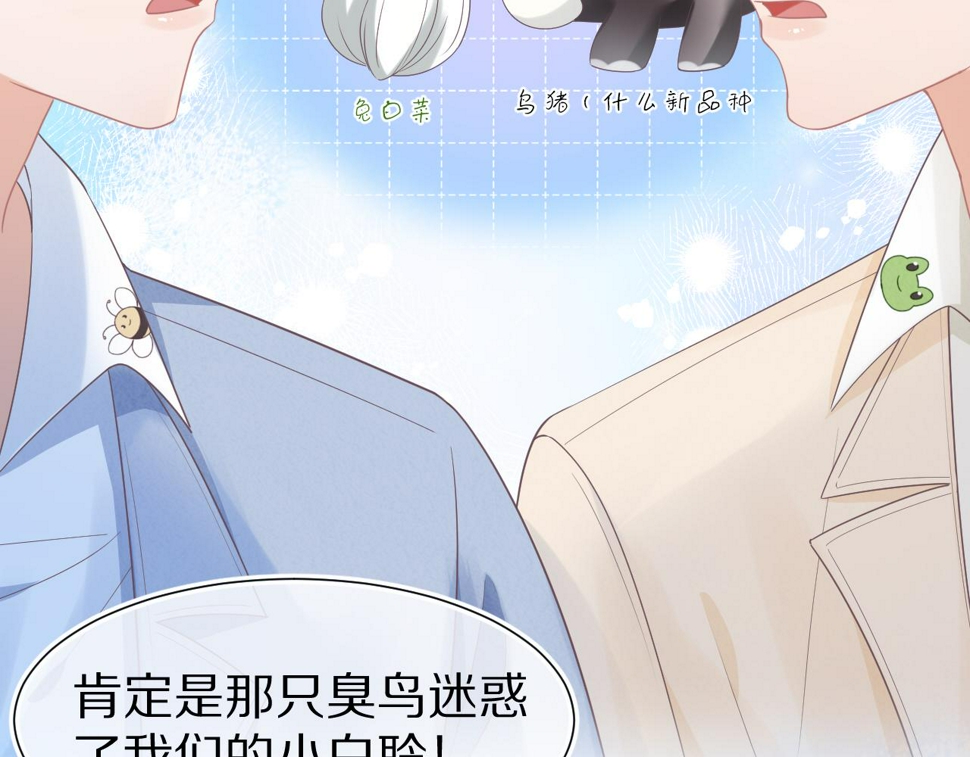 第21章 哥哥们的挑衅35