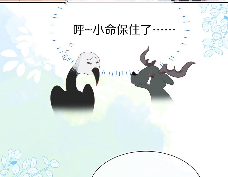 第15话 你瞅啥！35