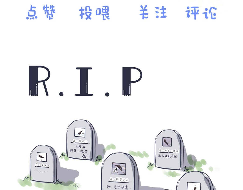 第24章 第一次和兔子……107