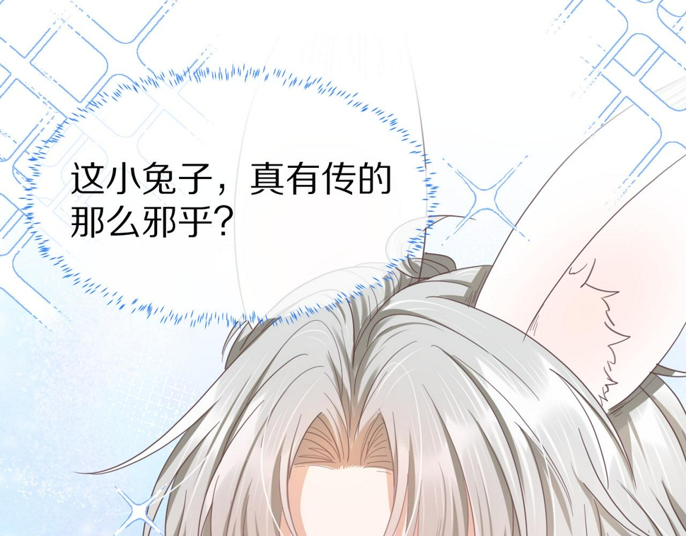 第18章 兔兔的测试4