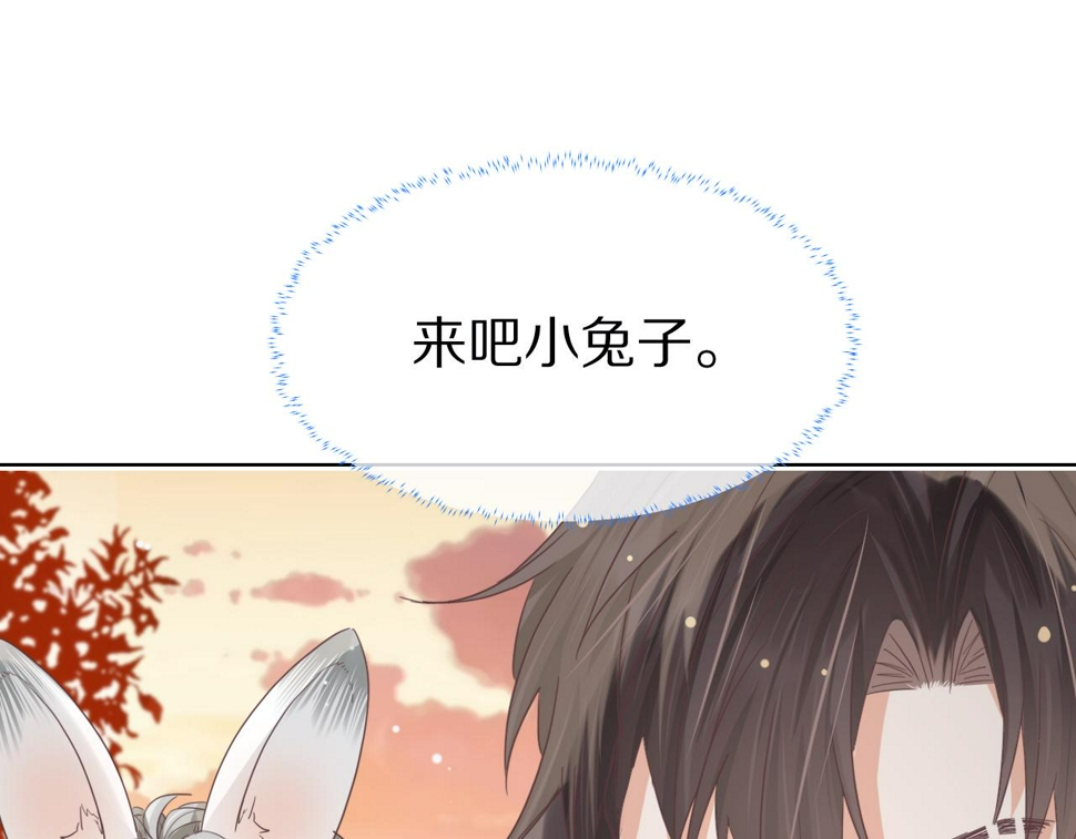 第18章 兔兔的测试43