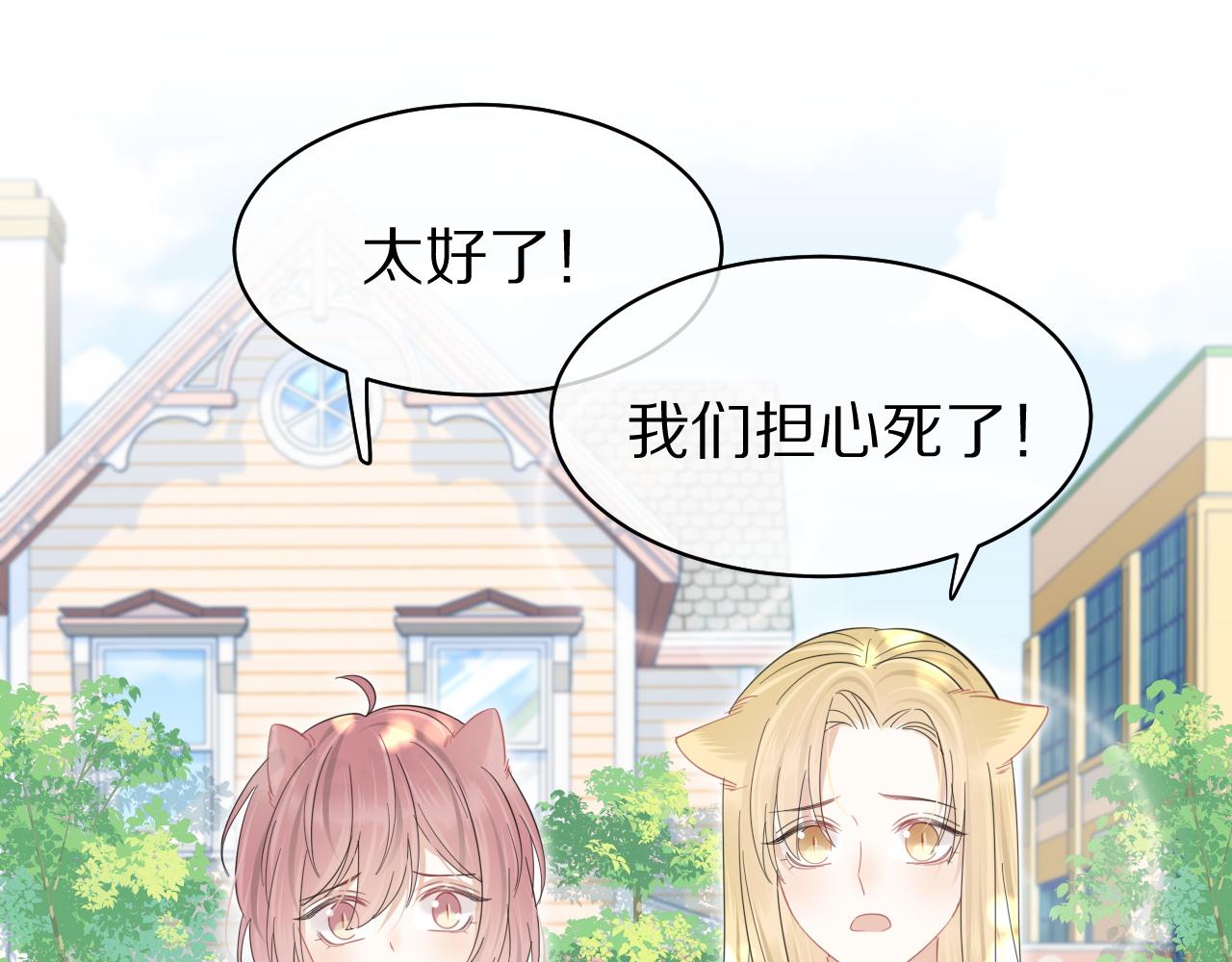 第32话 小猫行动中3