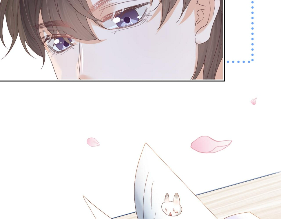 第24章 第一次和兔子……63