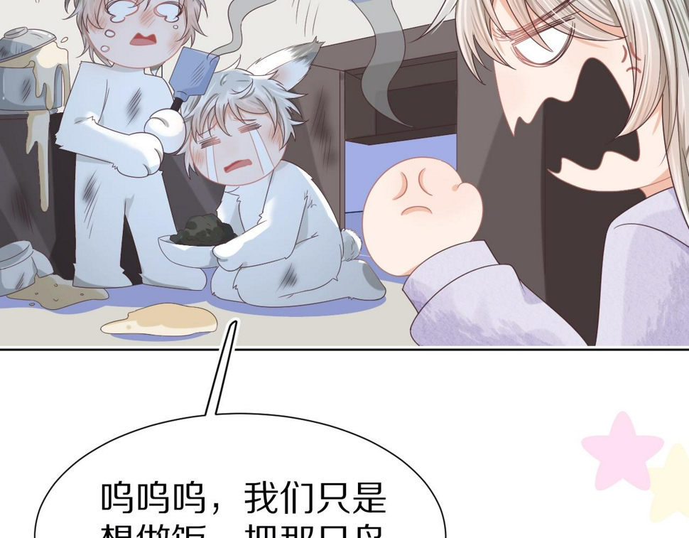 第24章 第一次和兔子……101