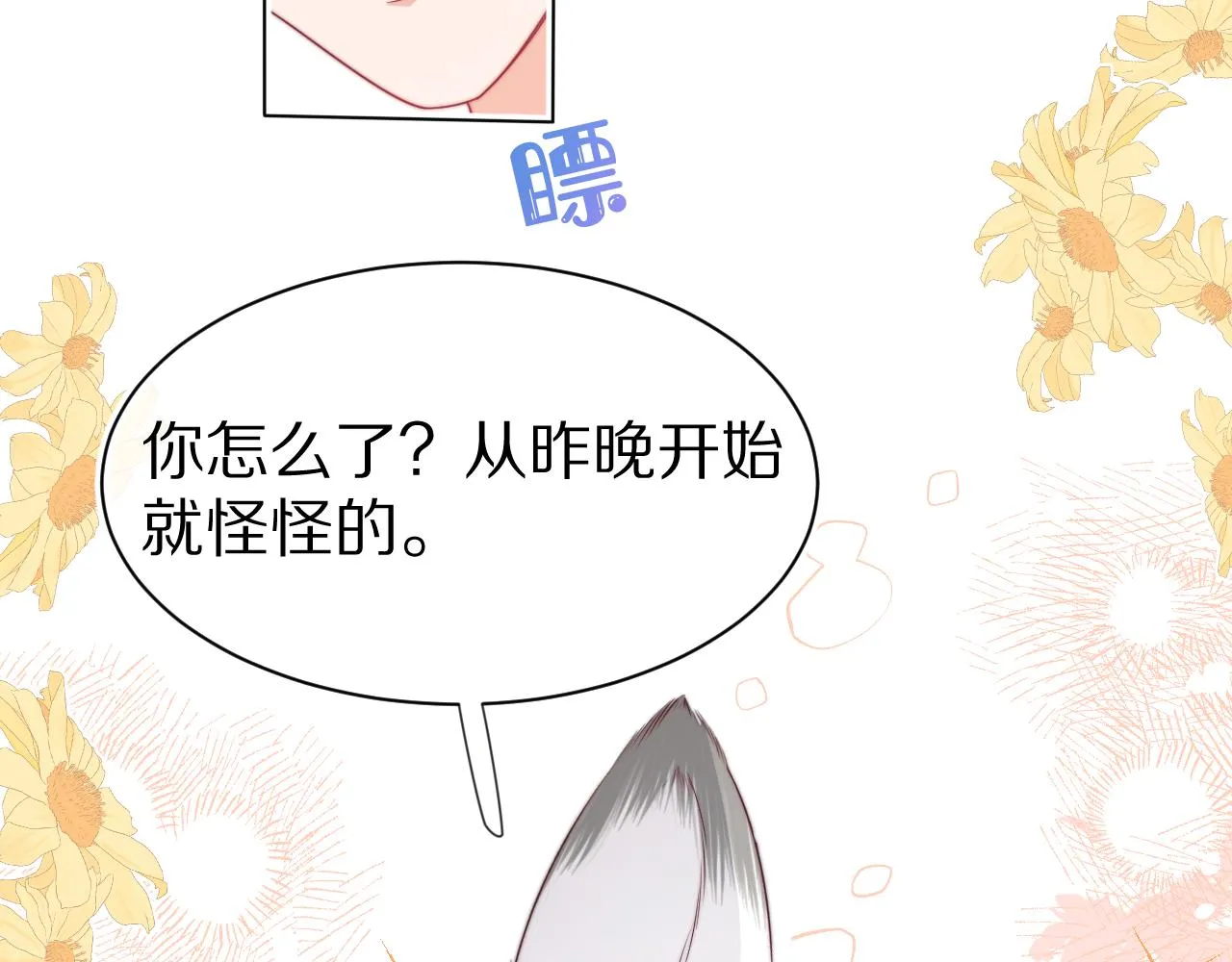 第41章 张野的小秘密27