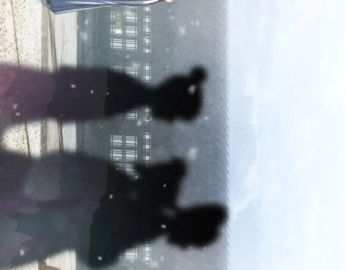 完结章 终将重逢47