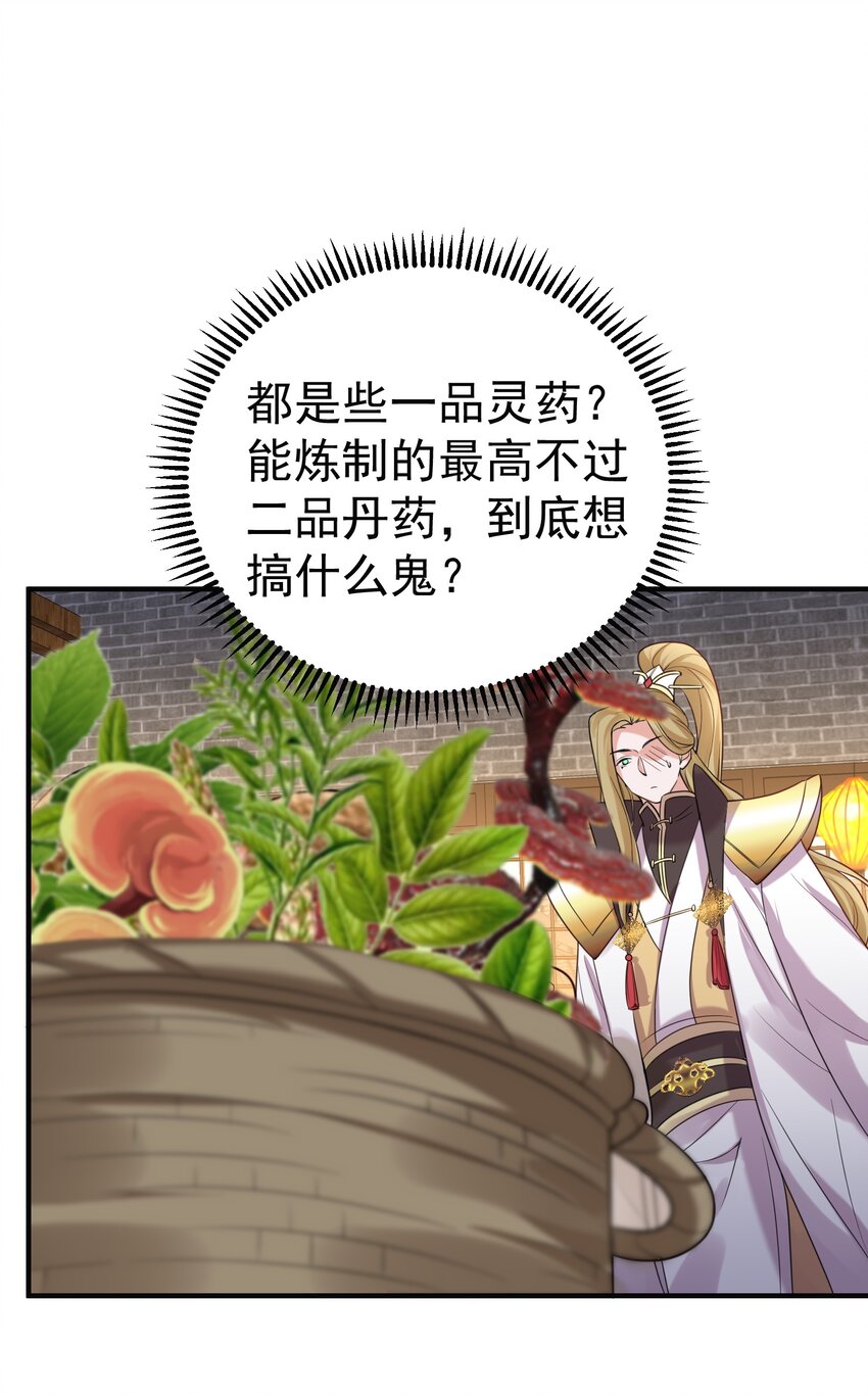 085 绝等药丹24