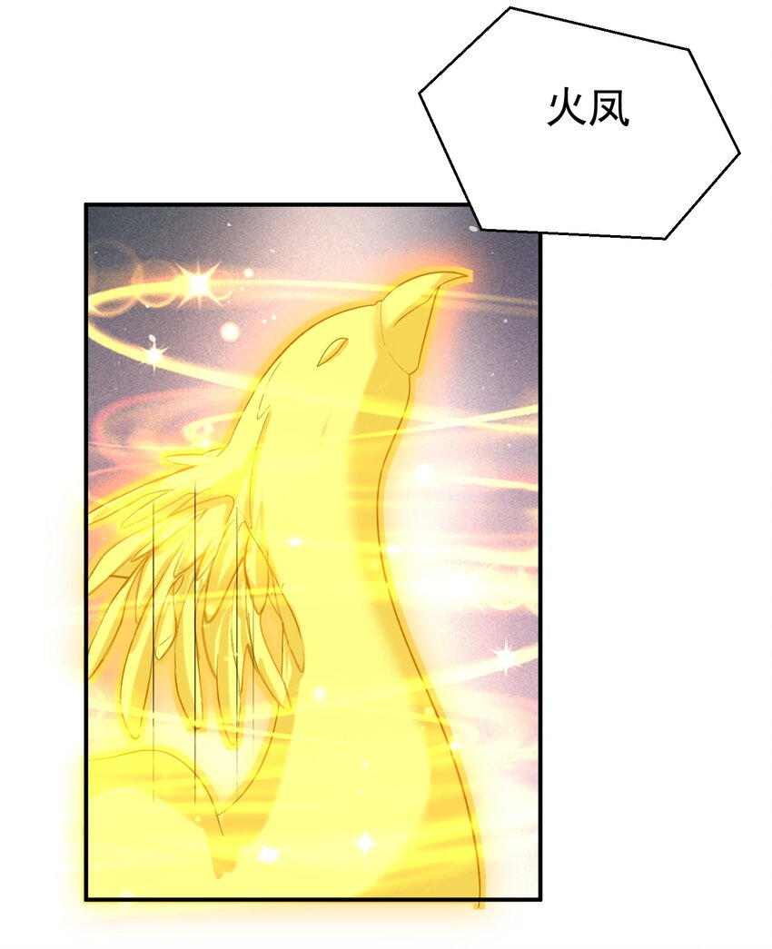 099 龙？凤？15