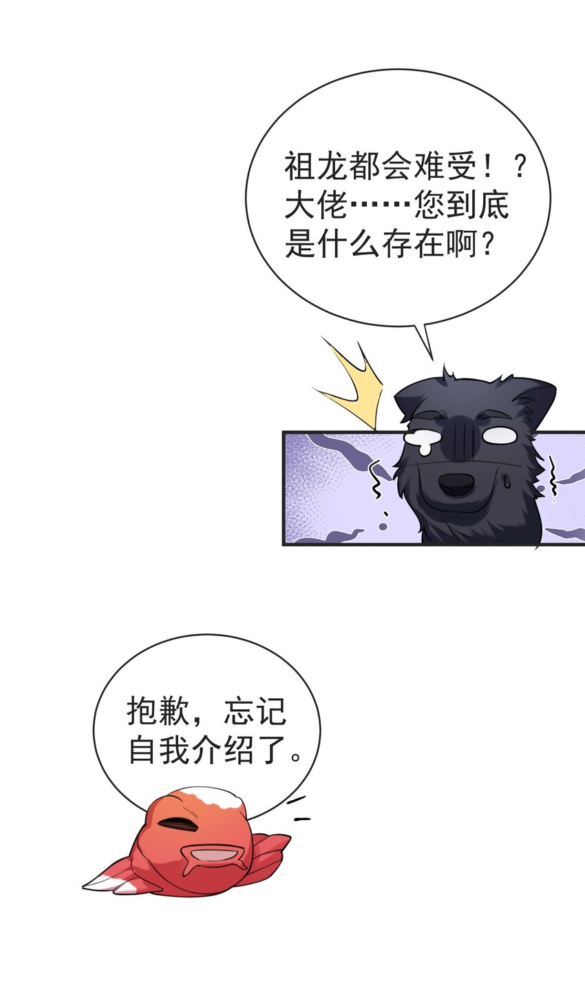 037 圣龙18