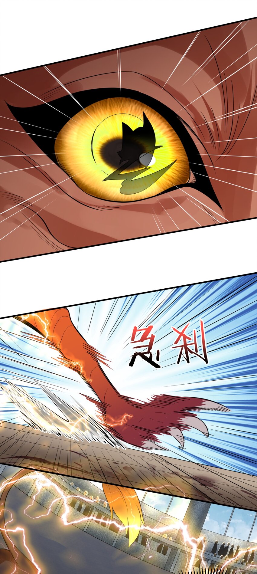 110 暗箱操作24