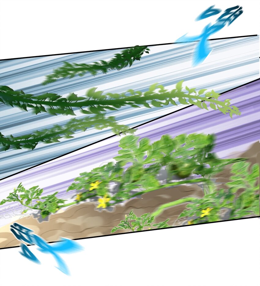 042 速成瓜20
