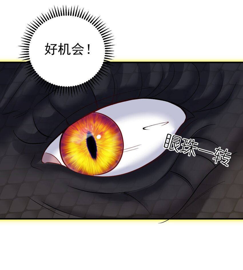 099 龙？凤？21