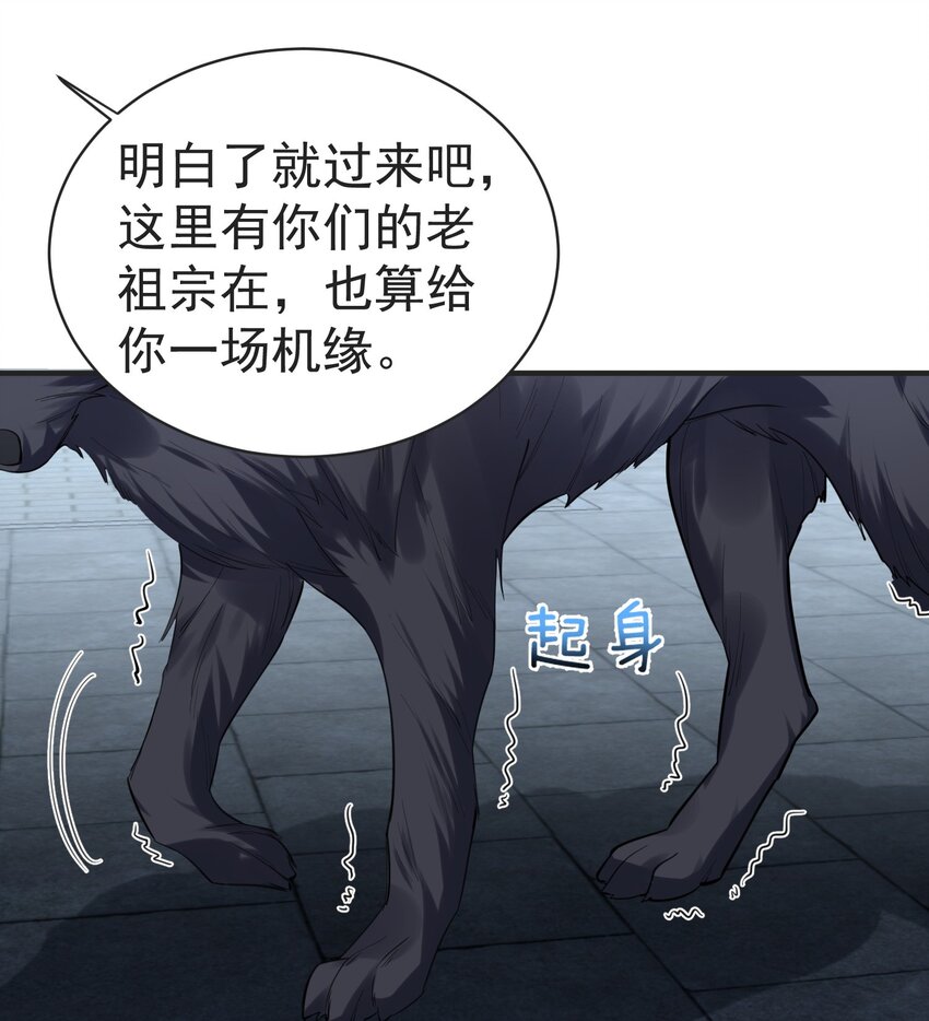 037 圣龙14