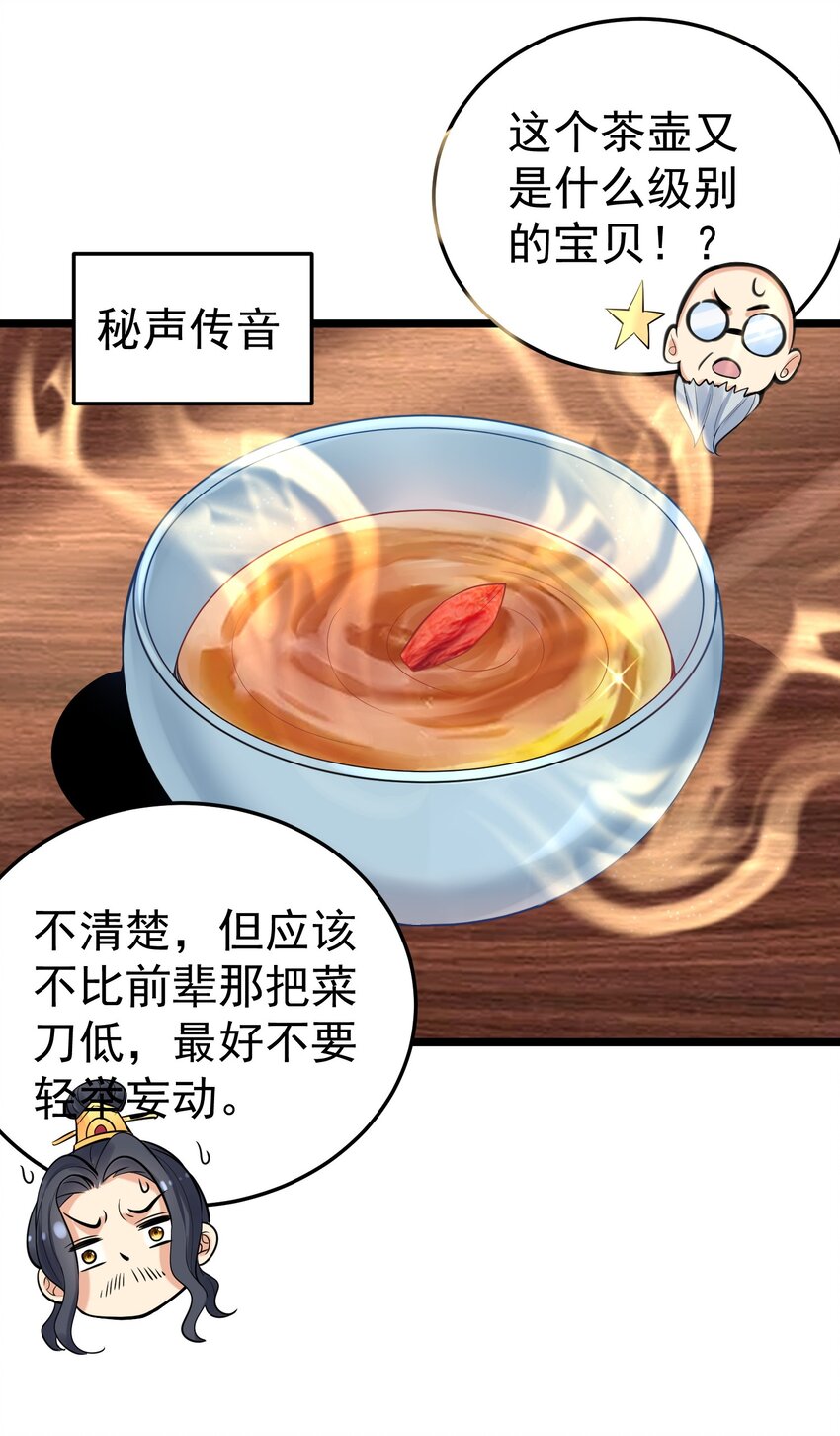 005 这是什么茶？13