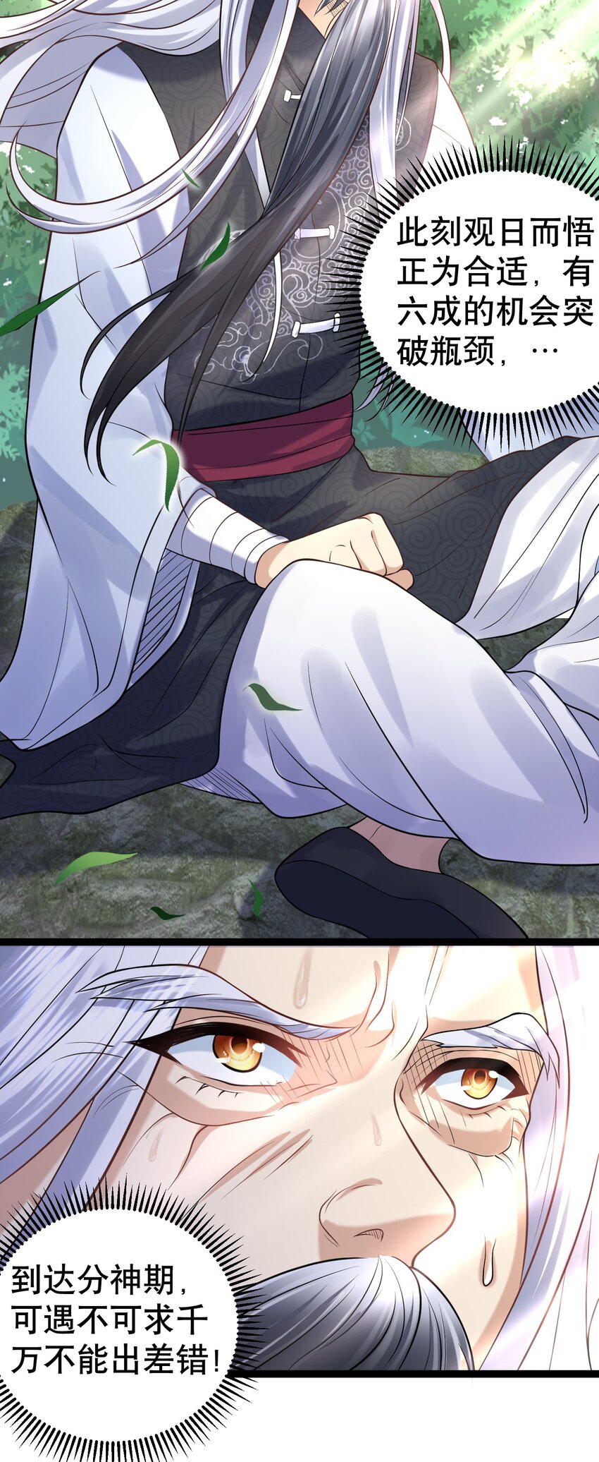 005 这是什么茶？31