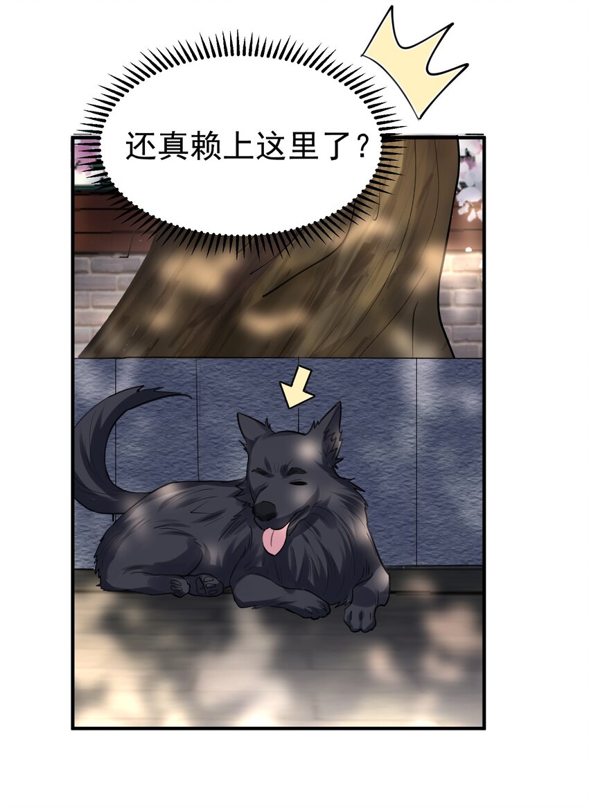 039 任务：收徒一万5