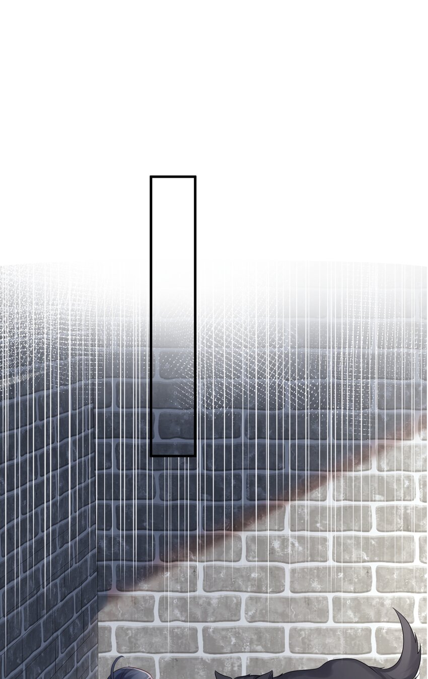 111 龙凤护卫11