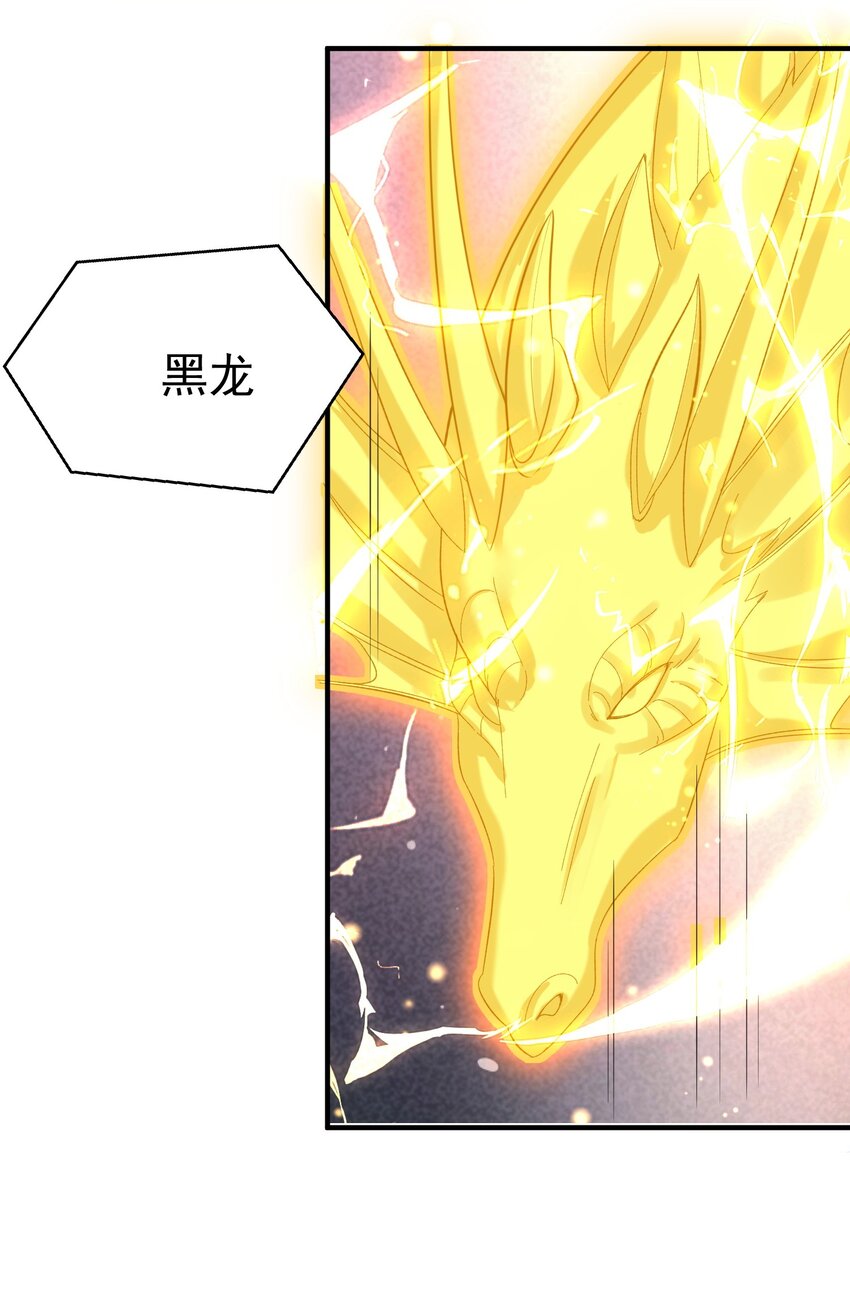 099 龙？凤？16