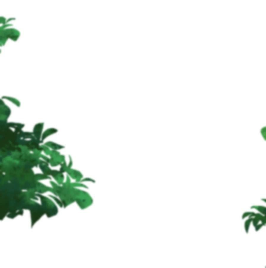 159 木剑道歉1