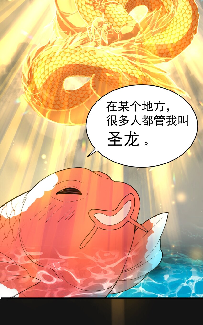 037 圣龙20
