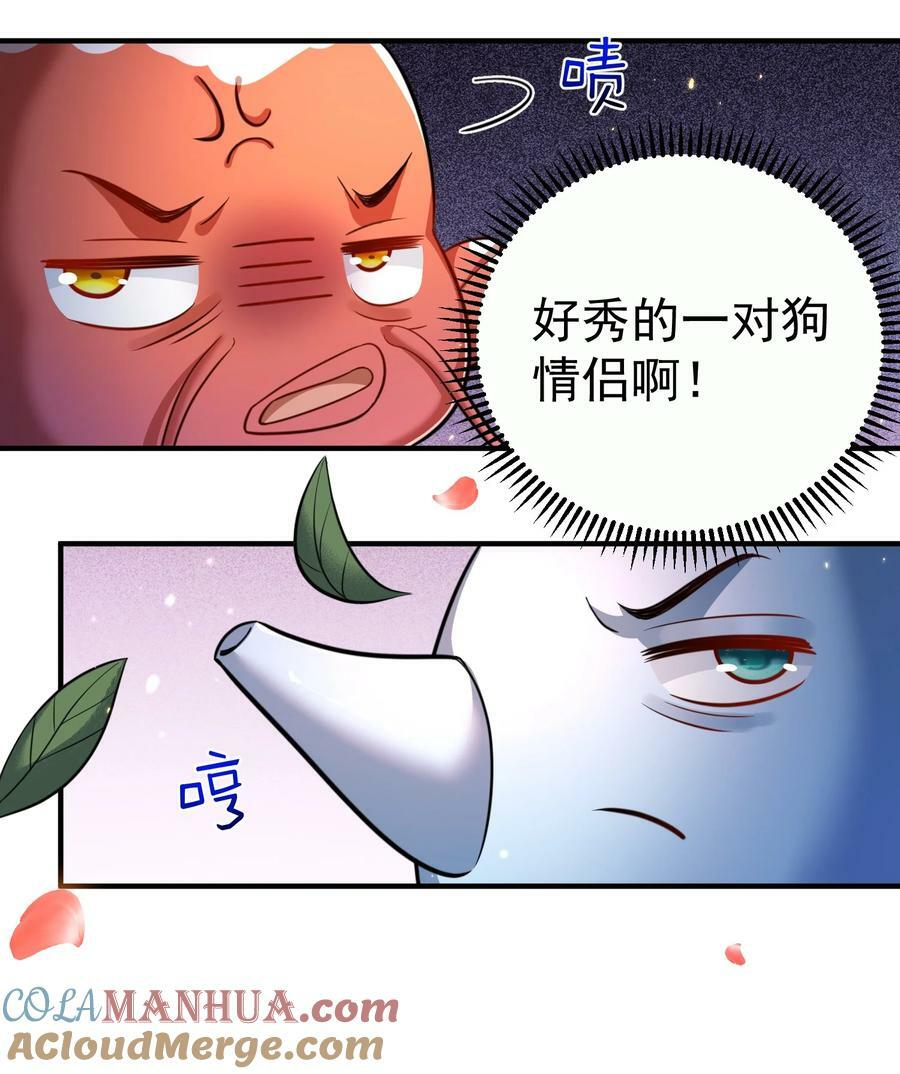 152 好秀的狗情侣48