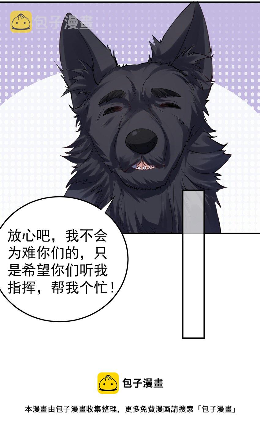 052 元婴妖兽36
