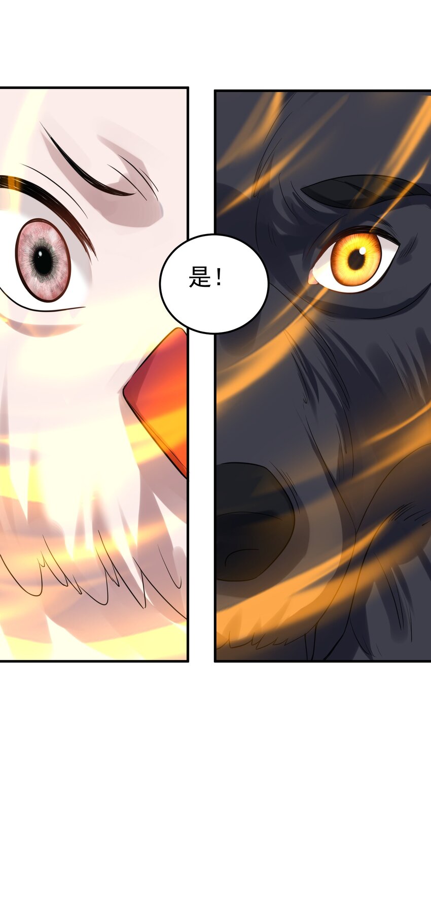 099 龙？凤？14