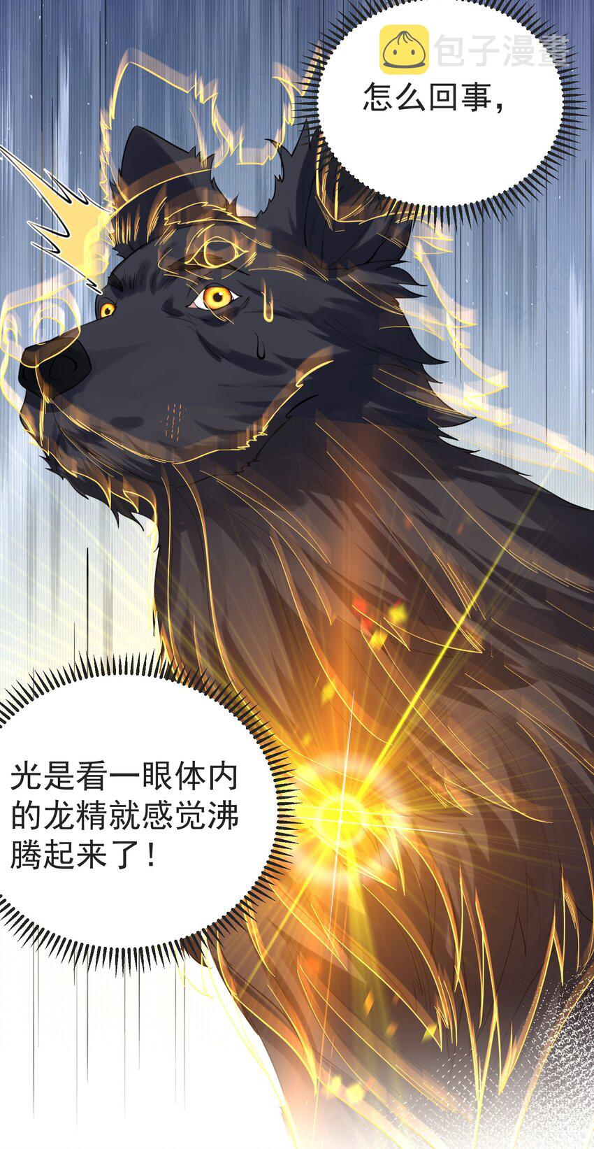 037 圣龙16