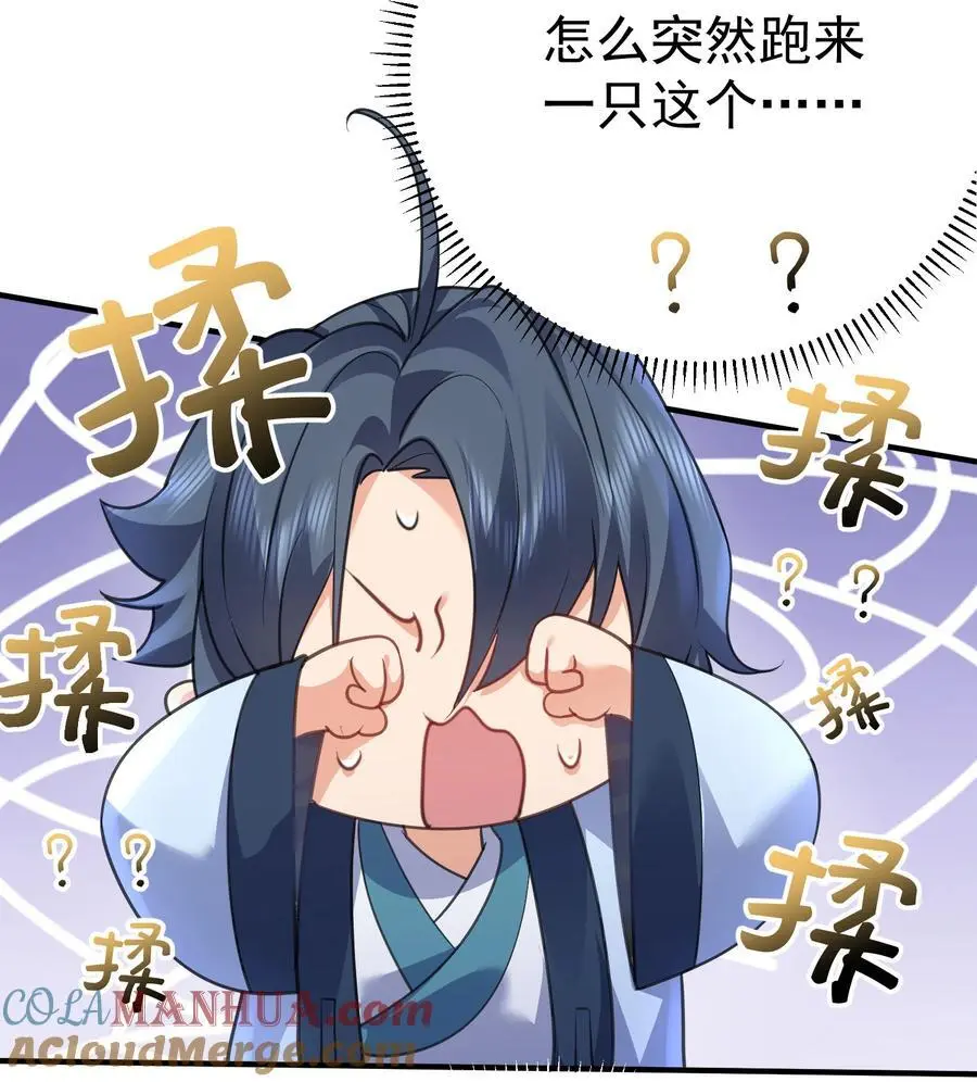 217 美人关30