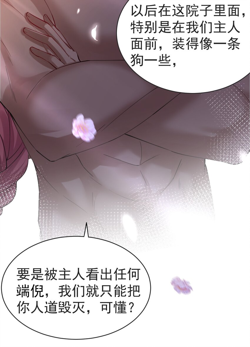 037 圣龙12