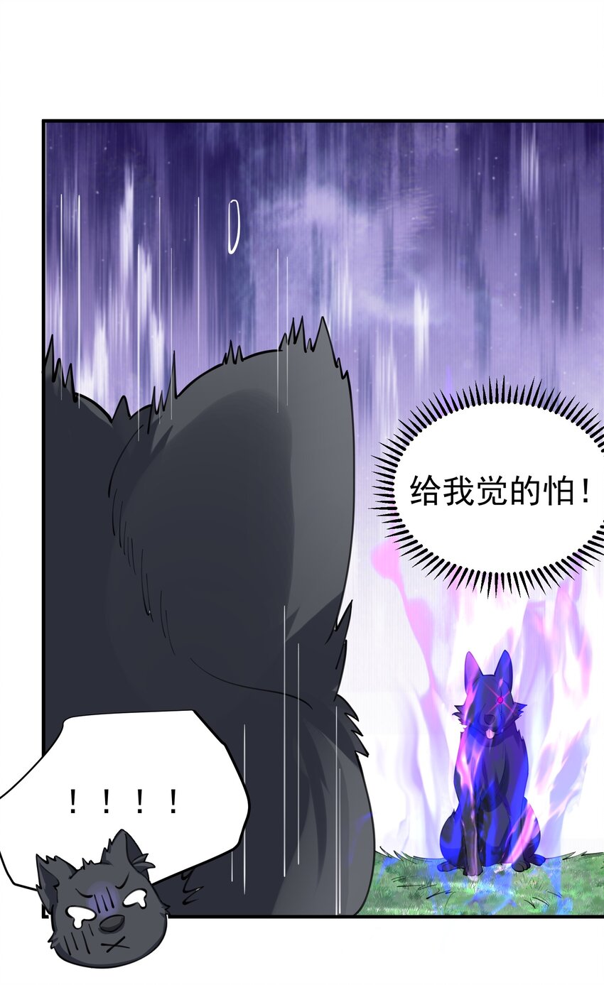 062 被迫营业15