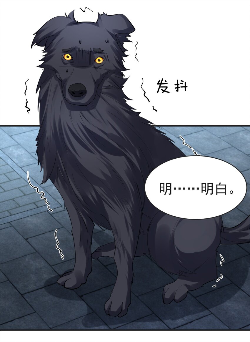 037 圣龙13