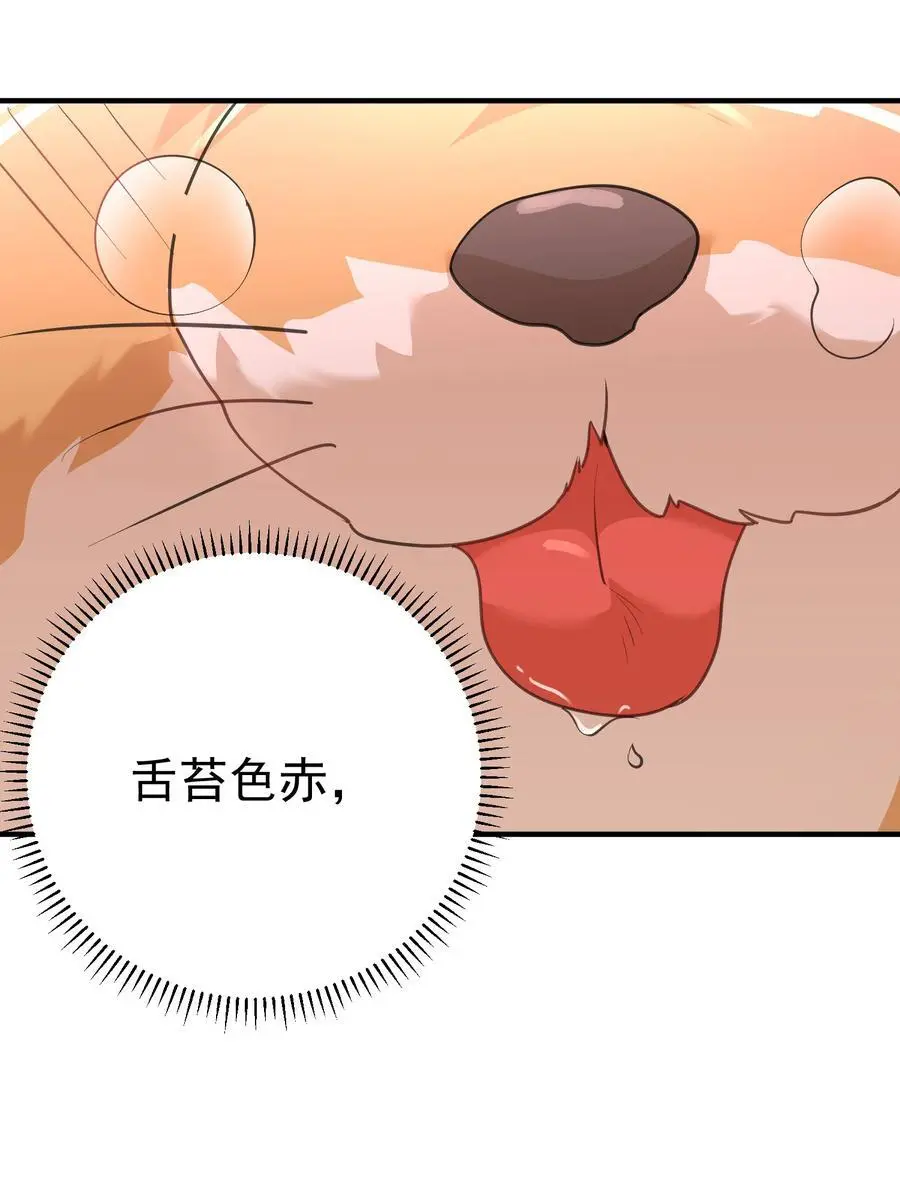 219 阴阳调和35
