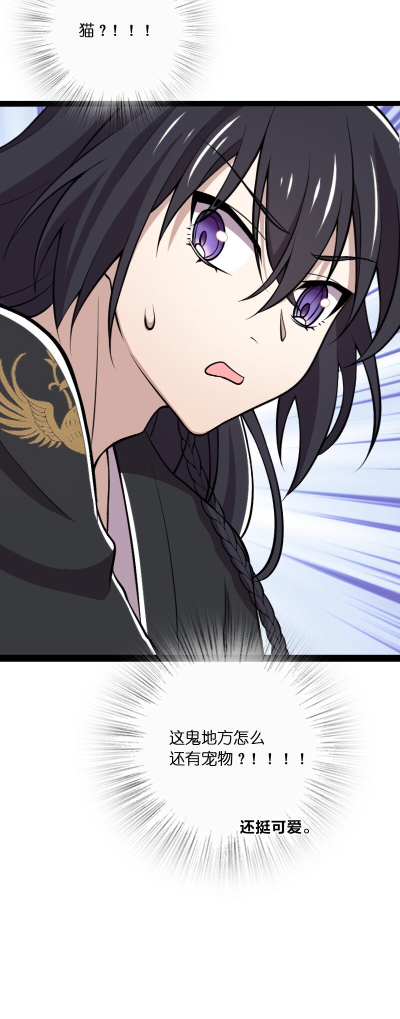 094 猫咪？51