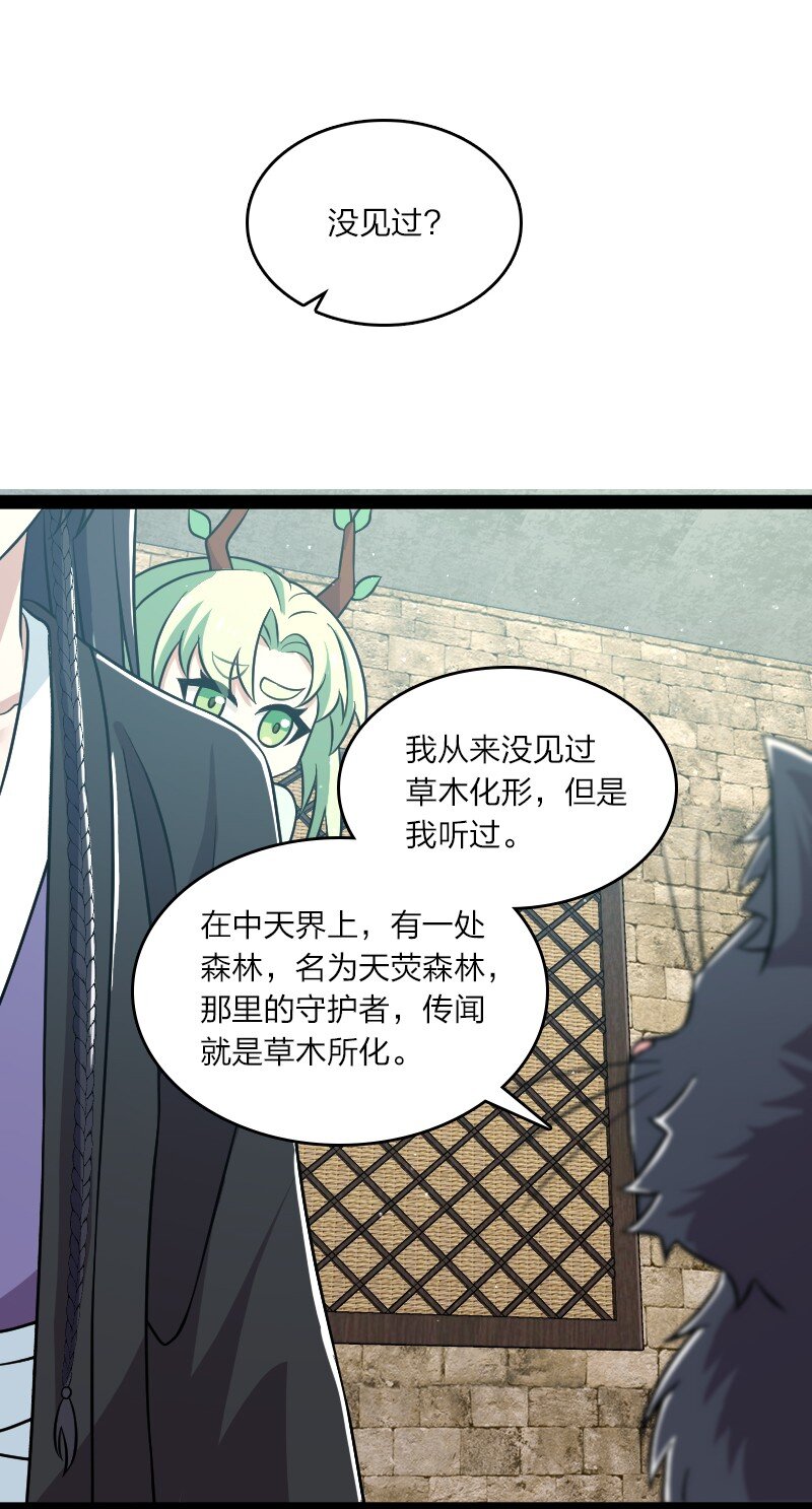 194 皇极境强者27