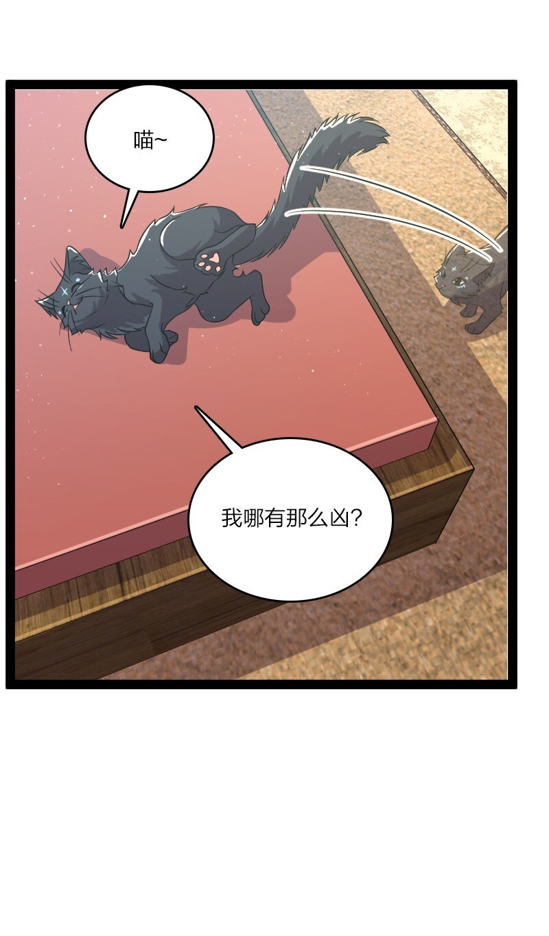 194 皇极境强者34