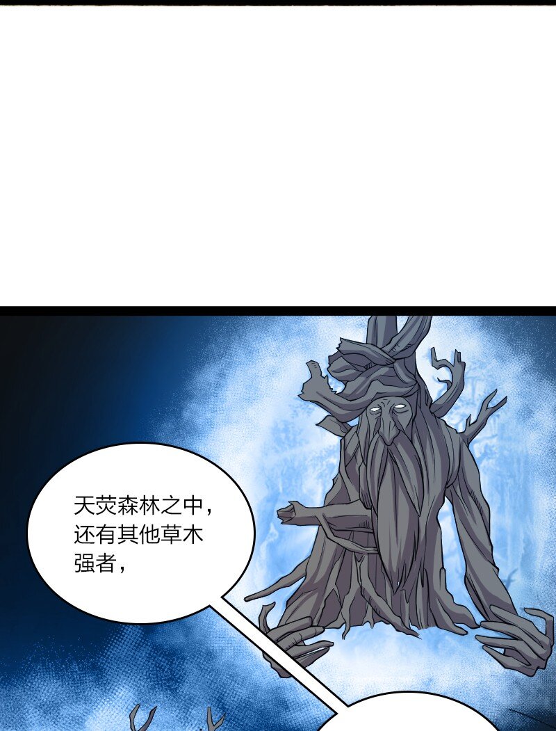 194 皇极境强者28
