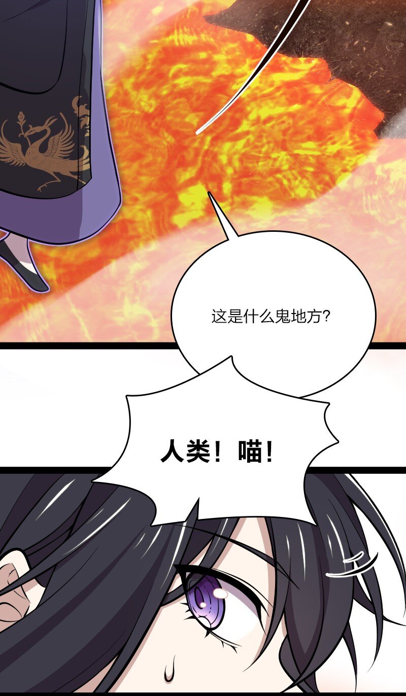 094 猫咪？48