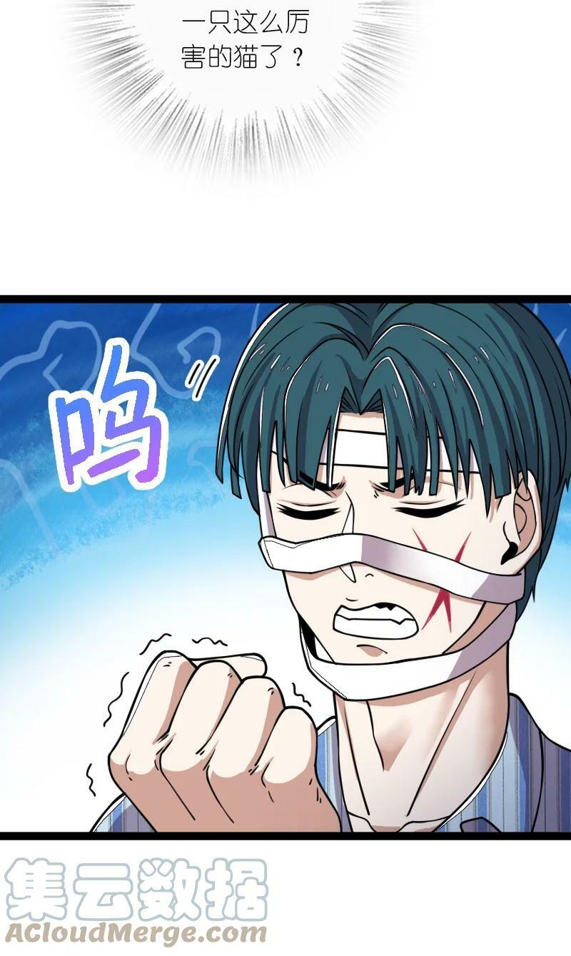246 传授武道33
