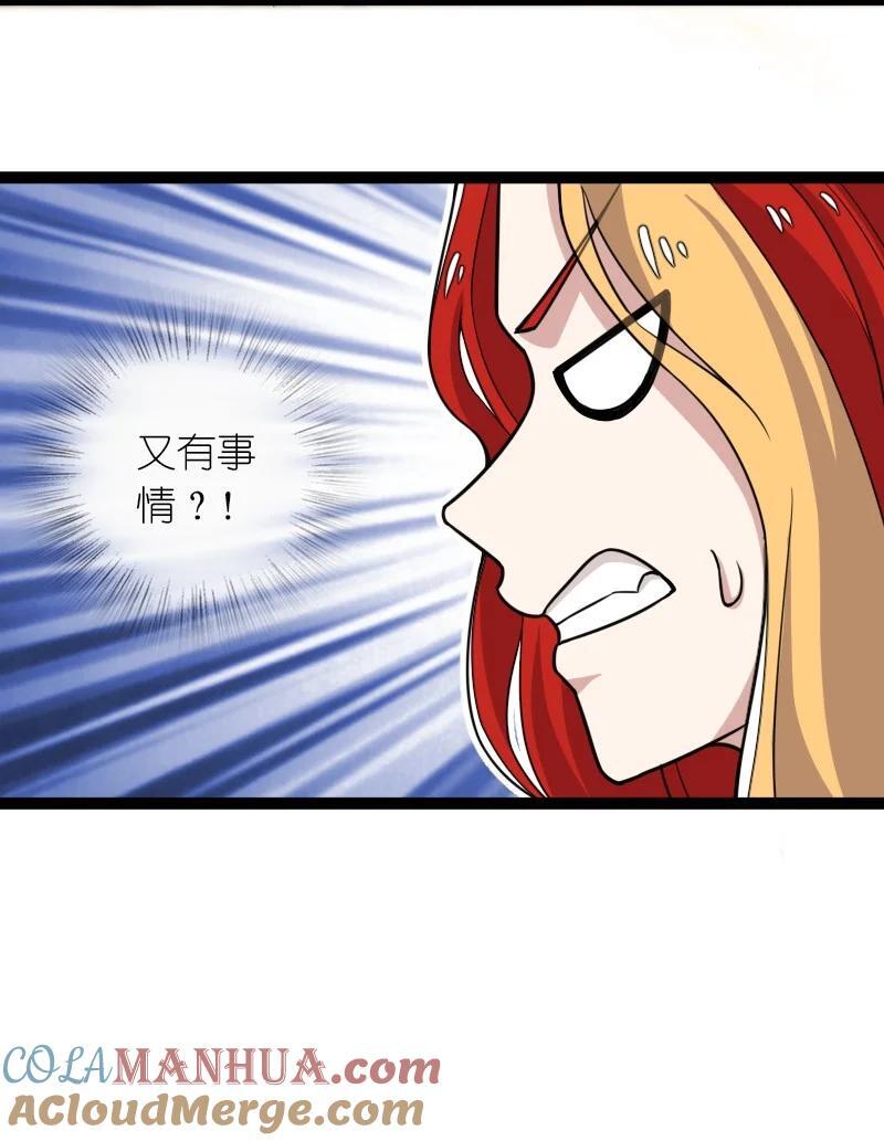 294 身份15