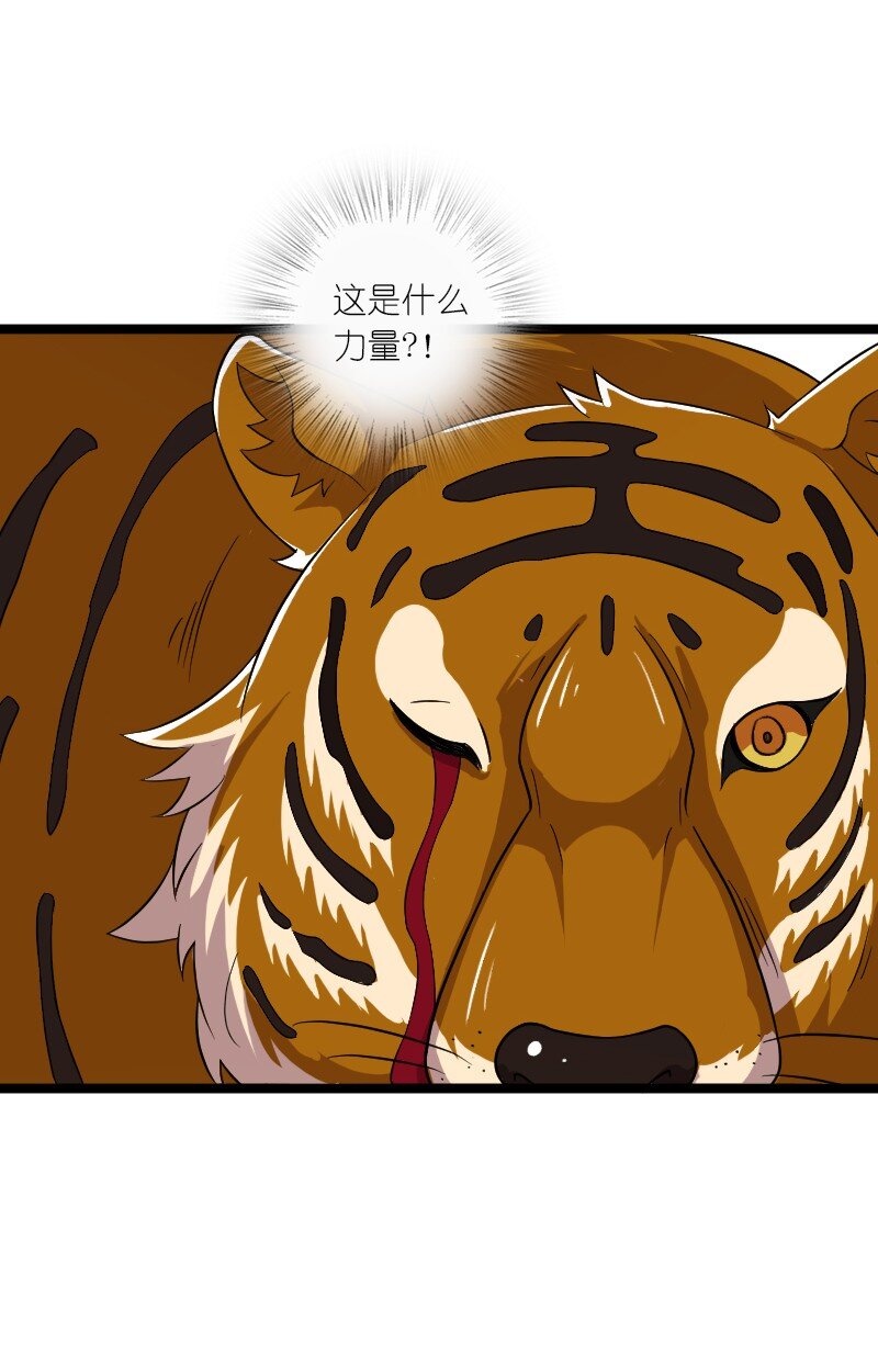 181 护身符43
