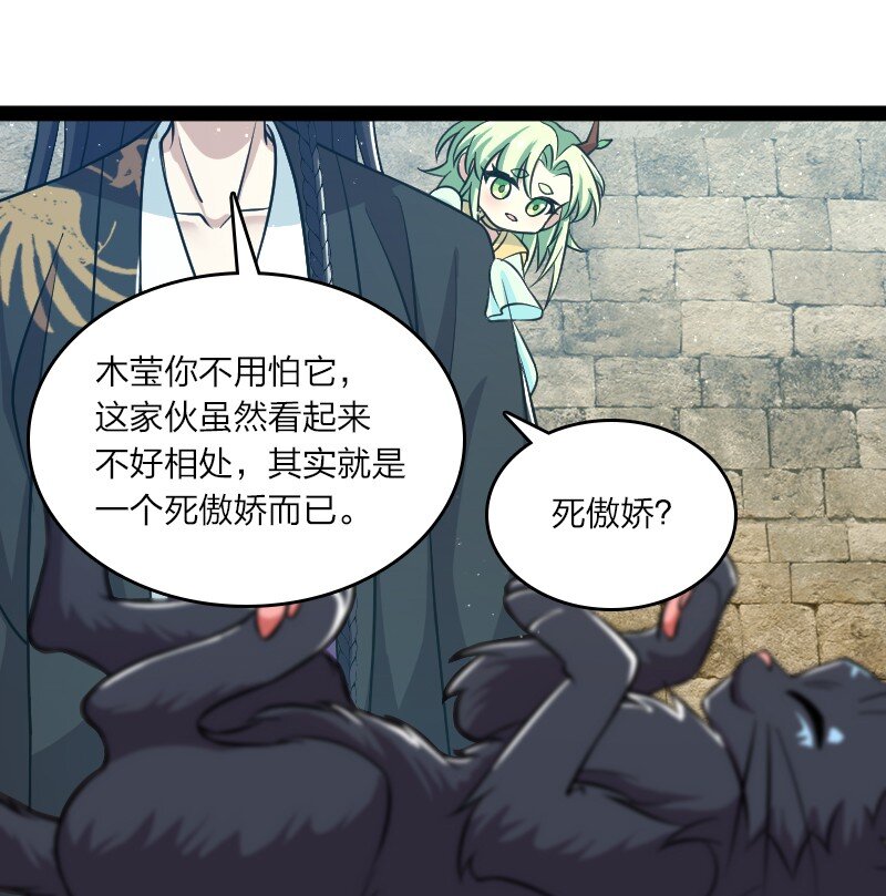 194 皇极境强者35