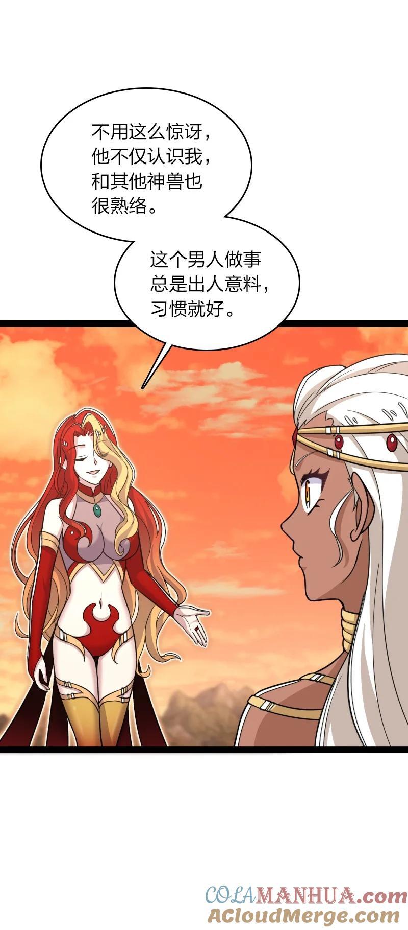 294 身份12
