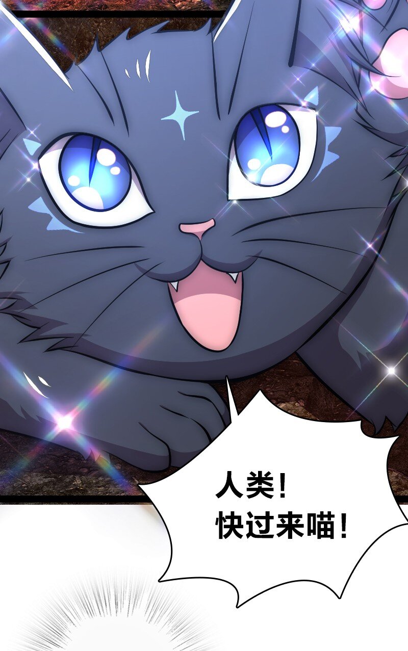 094 猫咪？50